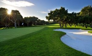 Malaga Golf transfers